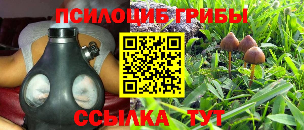 Россия  Галлюциногенные грибы MAGIC MUSHROOMS  продажа наркотиков  Псилоцибиновые грибы Magic Shrooms  Вход с VPN 